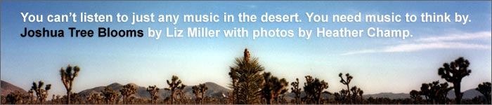 { joshua tree blooms }