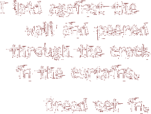 { I laid against the wall and peered through the crack in the curtains. Dread set in. }