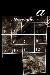 select a month