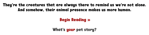 They're the creatures that are always there to remind us we're not alone. And somehow, their animal presence makes us more human.